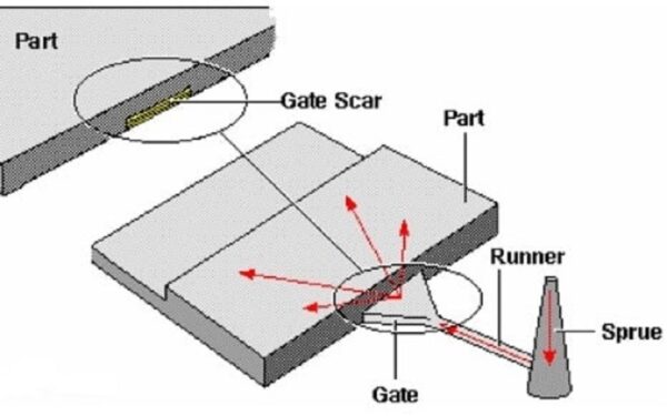 Unlocking The Enigma Of Fan Mould - FOW Mould